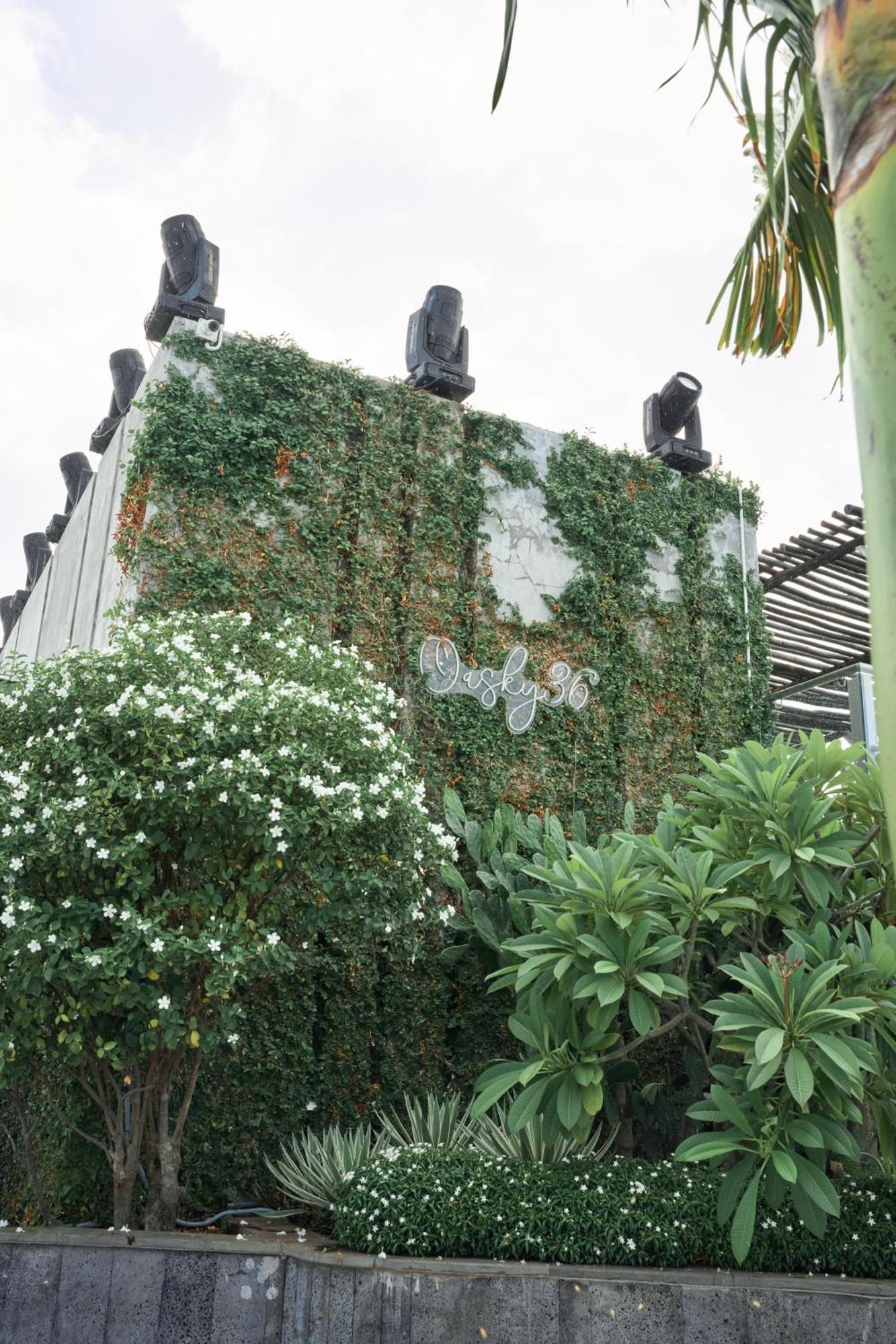 Pooh House 2 - Oasky 3 Bedrooms Apartment Vung Tau Bagian luar foto